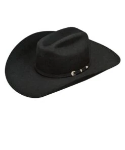 M&F Western Ariat 2X Wool Black Double S Hat