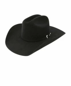 Resistol Black Gold Hat